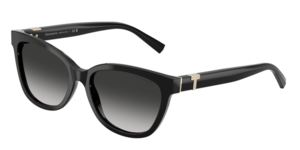 Tiffany & Co. 0TF4237BF 80013C