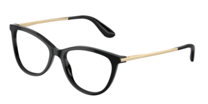 Dolce & Gabbana 0DG3258 501