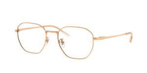 Ray-Ban 0RX8777D 1248