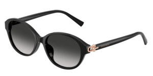 Tiffany & Co. 0TF4263D 80013C