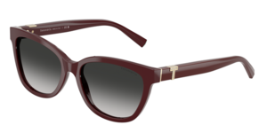Tiffany & Co. 0TF4237B 83893C