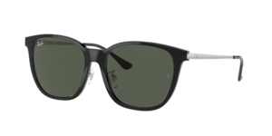 Ray-Ban 0RB4333D 629271