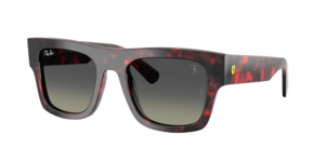 Ray-Ban 0RB2217M F70511