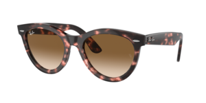 Ray-Ban 0RB2241 133451