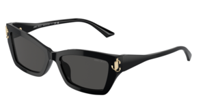 Jimmy Choo 0JC5011U 500087