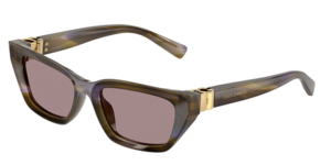 Dolce & Gabbana 0DG4532 3447LA