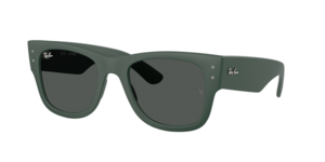 Ray-Ban 0RB4840S 665787