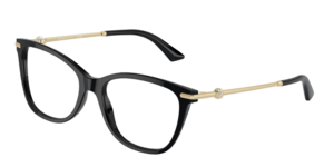 Jimmy Choo 0JC3007HF 5000