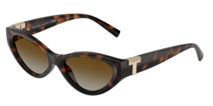 Tiffany & Co. 0TF4225U 8015T5