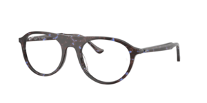 Ray-Ban 0RX5441 8424