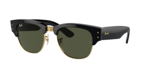Ray-Ban 0RB0316S 901/31