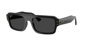 Ray-Ban 0RB4454 667748