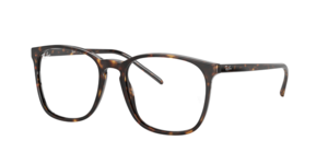 Ray-Ban 0RX5387 2012
