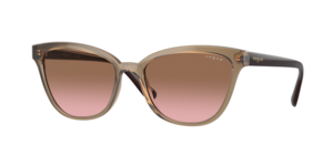Vogue Eyewear 0VO5496SI 304014