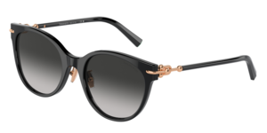 Tiffany & Co. 0TF4223D 80013C