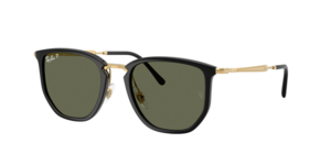 Ray-Ban 0RB4451 630658