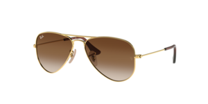 Ray-Ban 0RJ9506S 223/13