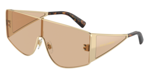 Dolce & Gabbana 0DG2305 13655A