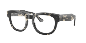Ray-Ban 0RX0298V 8117