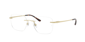 Ray-Ban 0RX8783D 1251