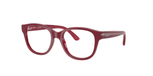 Ray-Ban 0RY1950 7207