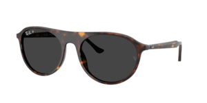 Ray-Ban 0RB2215 902/48