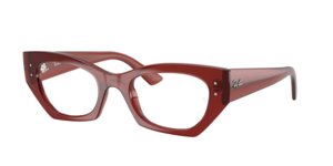 Ray-Ban 0RX7330 8436