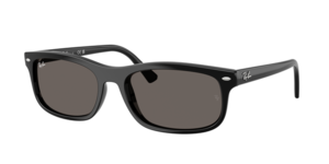Ray-Ban 0RB2224 901/B1