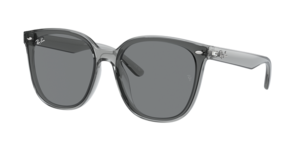 Ray-Ban 0RB4423D 645087