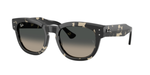 Ray-Ban 0RB0298S 133371