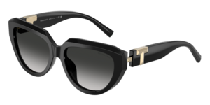 Tiffany & Co. 0TF4238U 80013C