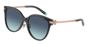 Tiffany & Co. 0TF4193BF 80019S