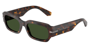 Dolce & Gabbana 0DG4485F 502/71
