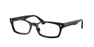 Ray-Ban 0RX5017A 2000