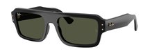 Ray-Ban 0RB4454 667731