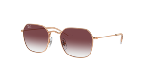 Ray-Ban 0RJ9594S 291/8H