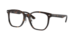 Ray-Ban 0RX5425D 2012