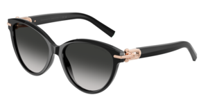 Tiffany & Co. 0TF4261 80013C