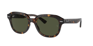 Ray-Ban 0RB4398 902/31