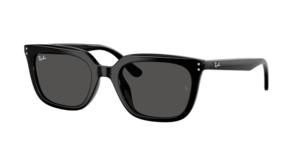Ray-Ban 0RB4439D 901/87