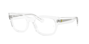 Ray-Ban 0RX5528M F706