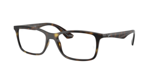 Ray-Ban 0RX7047 2012