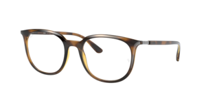 Ray-Ban 0RX7190 2012