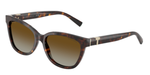 Tiffany & Co. 0TF4237BF 8015T5