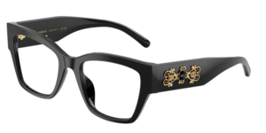 Dolce & Gabbana 0DG3435B 501