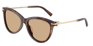 Tiffany & Co. 0TF4258BU 8421/8