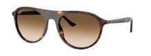 Ray-Ban 0RB2215 902/51