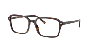Ray-Ban 0RX5431 2012