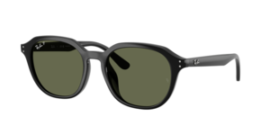 Ray-Ban 0RB4459D 901/9A