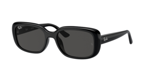 Ray-Ban 0RB4421D 667787